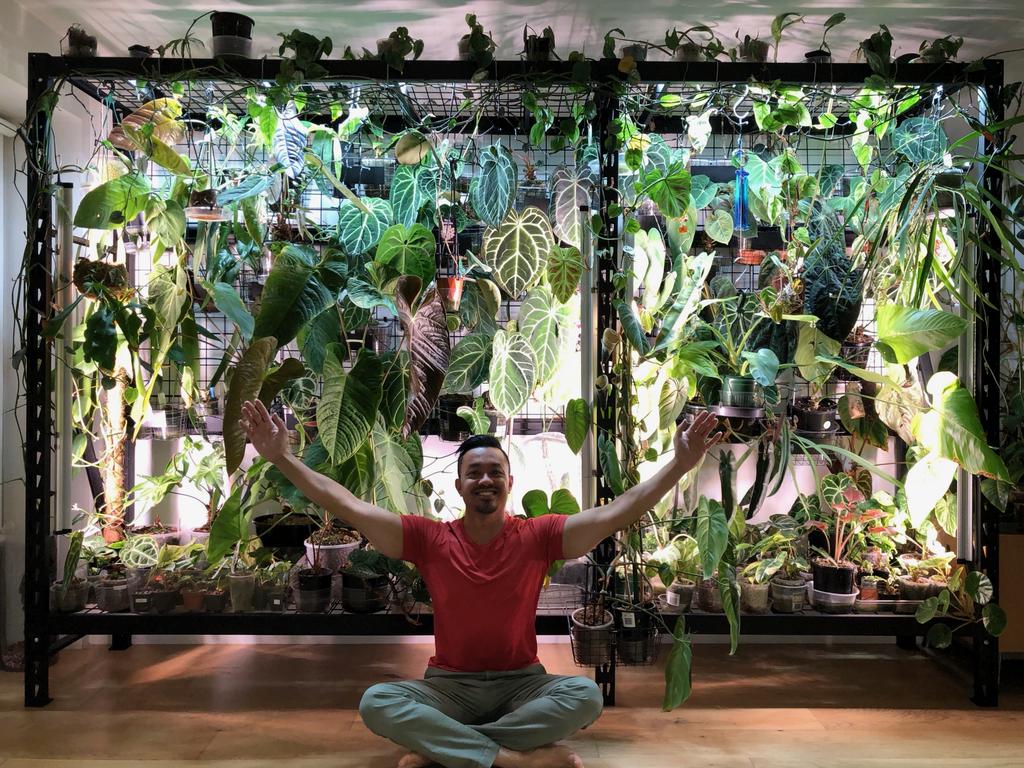 Melbourne's Shajan Valaedan at home with his plant-wall in his inner city apartment. Picture: supplied.