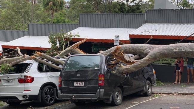 A large gum tree crushed three cars and brought down power lines in Hilltop Rd, Clareville. Picture: Tessa Rose/Facebook