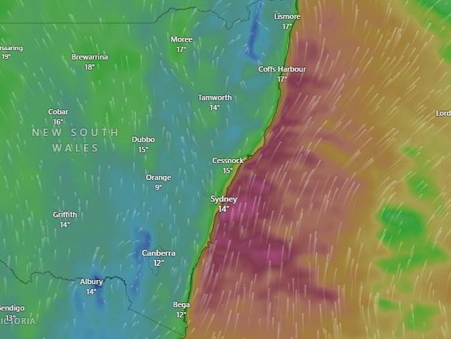 Wild winds off the NSW coast have triggered warnings for millions of residents, with a woman losing her life after a tree fell on her on Sunday. Picture: Windy