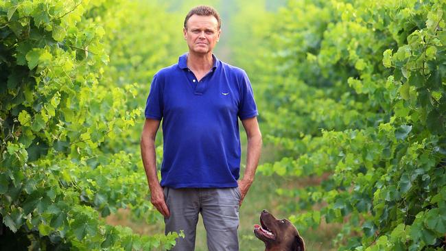 Arnie Pizzini at his vineyard in the King Valley. Picture: Aaron Francis