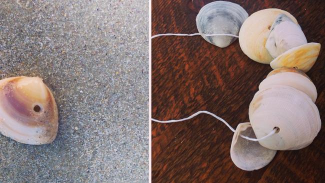 Get crafty at the beach collecting shells. Picture: Kara Jung