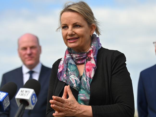 Minister for the Environment Sussan Ley. Picture: NCA NewsWire / Steven Saphore