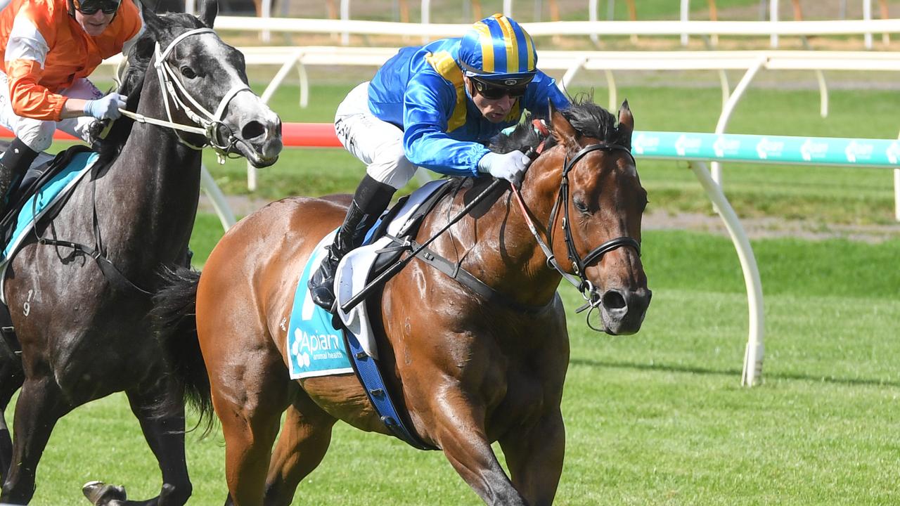 Big Me, pictured winning at Bendigo on December 3, is Xavier Pegum’s best bet at Flemington on New Year’s Day. Picture: Brett Holburt / Racing Photos