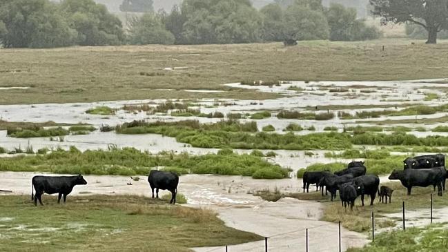 The Brewer family near Bullioh have registered 180mm of rain in 10 hours, the biggest rainfall event they have ever seen in their time on the farm.