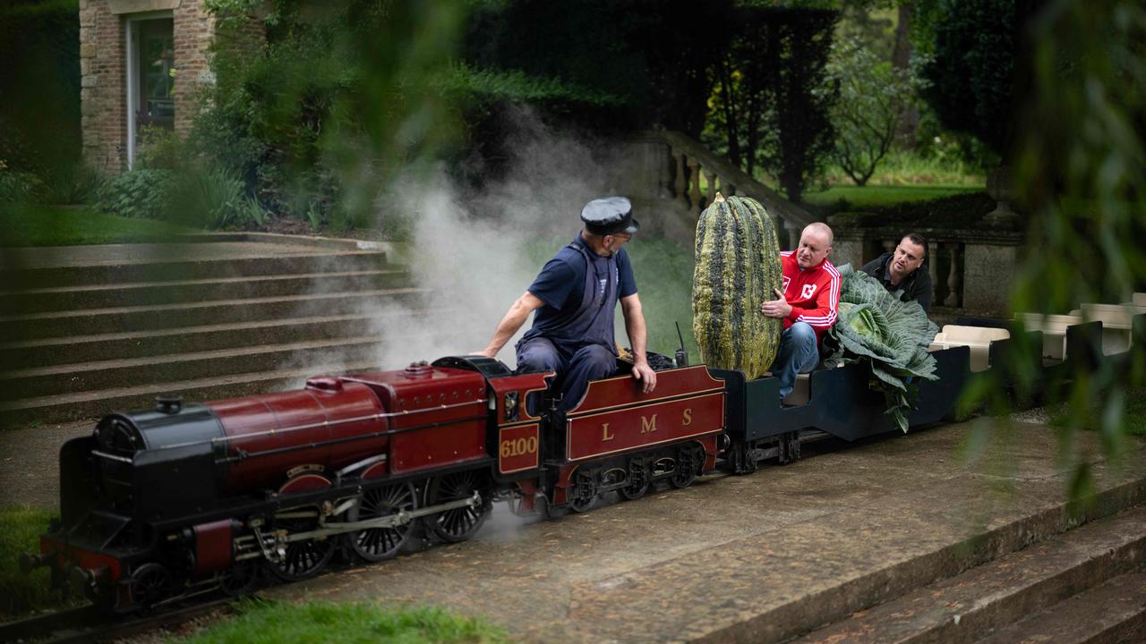 Steam engine driver Bob Corrie (L) speaks with growers Andy Dawson (C) and Paul Proud (R) as they do a victory lap with their large vegetables - a marrow and cabbage respectively - that won their categories in the giant vegetable competition on the first day of the Harrogate Autumn Flower Show in northern England. Picture: Oli Scarff/AFP