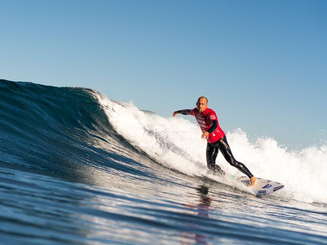 DISRUPTIVE & DEADLY: Three times world champion adative surfer Matt Formston said the tiny but deadly stingers Irukandjis are the prefect animal symbol for Surfing Australia's Team Australia. Photo: ISA