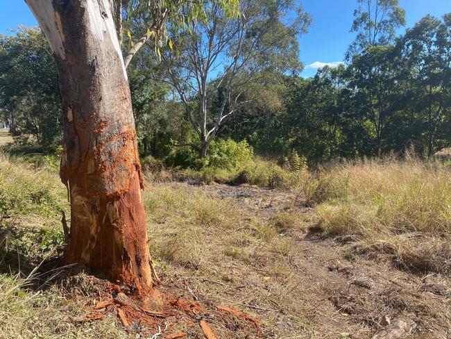 Photos from the fatal Kilkivan crash site taken on Wednesday, July 28.