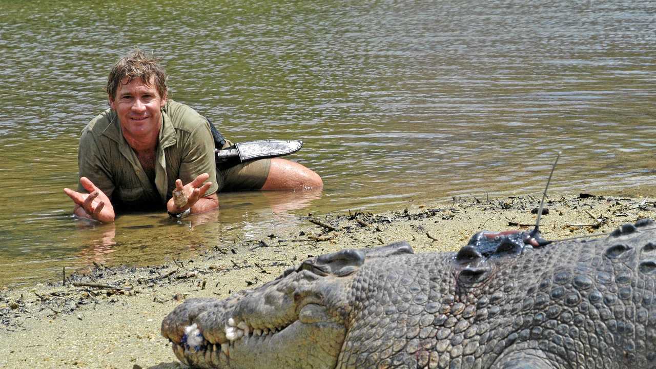 Watch You Bit Me On The Nose 5 Classic Steve Irwin Moments The Courier Mail