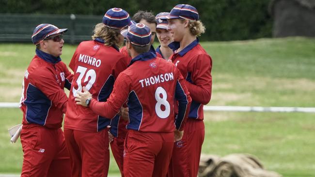 Premier: Melbourne players celebrate a wicket. Picture: Valeriu Campan