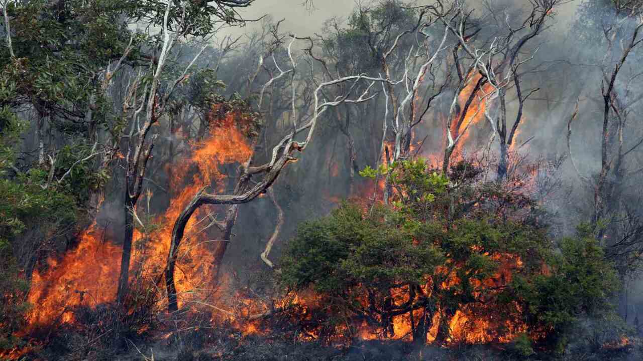 Difficult conditions ahead for NSW firefighters