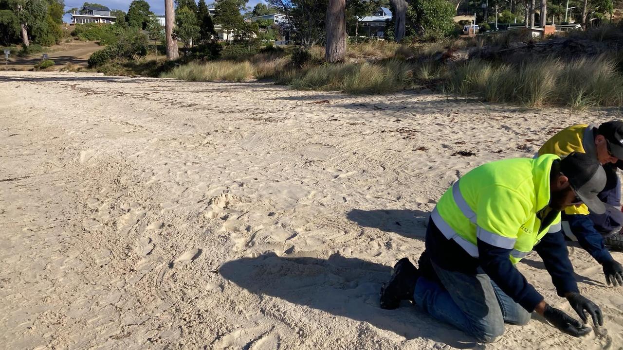 Huon team members responding to queries at Verona Sands beach. Picture: Huon