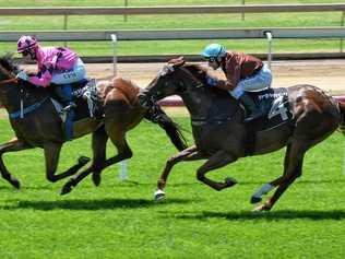 Pretty Ricky wins the Real Property Legal Maiden at Ipswich Racetrack on Friday. Picture: Rob Williams