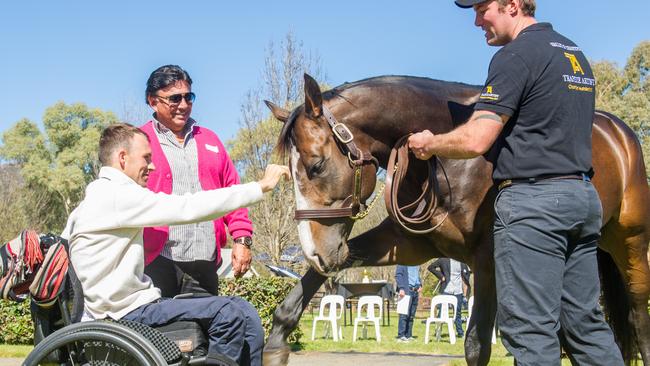 Tye Angland is reunited with Trapeze Artist at the Widden Stud Stallion Parade alongside owner Bert Vieira. Picture: Sharon Lee Chapman