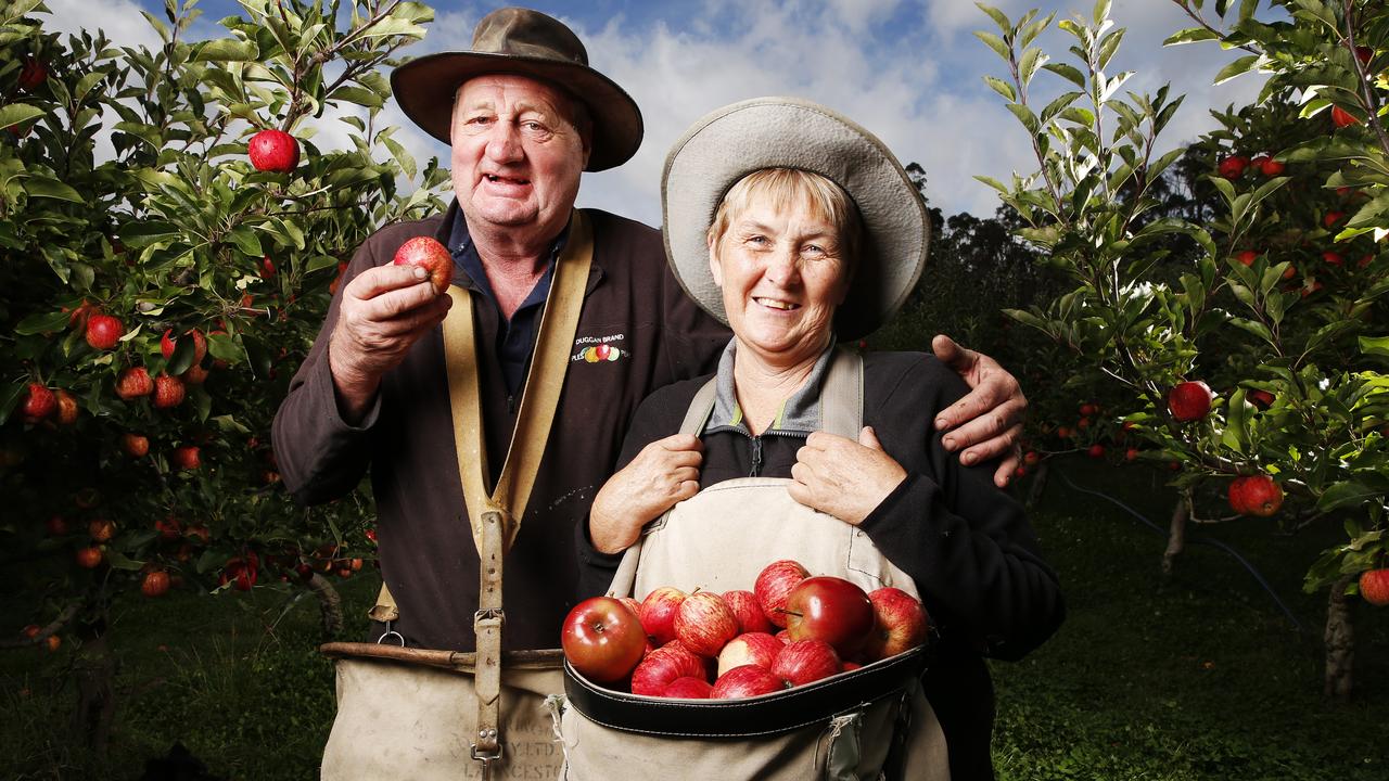 Taste of the Huon festival The Mercury