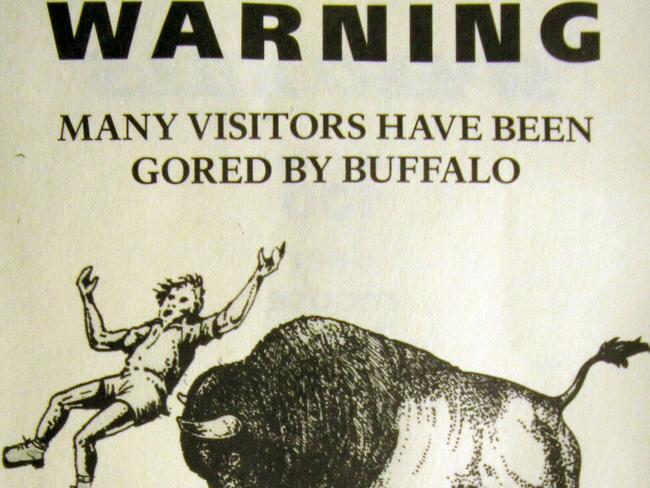 This photo taken on Wednesday, June 3, 2015 of a pamphlet distributed by the National Park Service to people entering Yellowstone National Park warns visitors not to get too close to bison, also known as buffalo, which can weigh up to 2,000 pounds and sprint three times faster than a person. Despite such warnings, bison have gored two Yellowstone tourists within the past three weeks. (AP Photo/Mead Gruver)