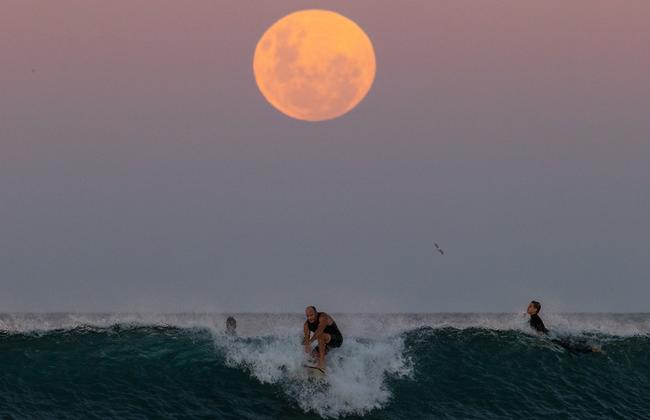 A surfer rides a wave as a super blood moon rises above the horizon at Manly Beach on Wednesday. Picture: Cameron Spencer/Getty Images