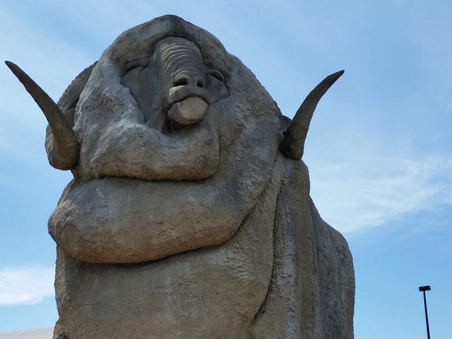 Police investigating alleged hit and run at Big Merino