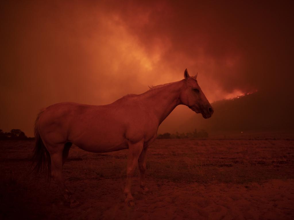 Creators of the Black Summer bushfire book are calling out for photos as well as poems. Picture: supplied