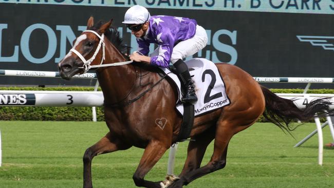 Espiona returns to Randwick where she scored a big win in the autumn. Picture: Grant Guy