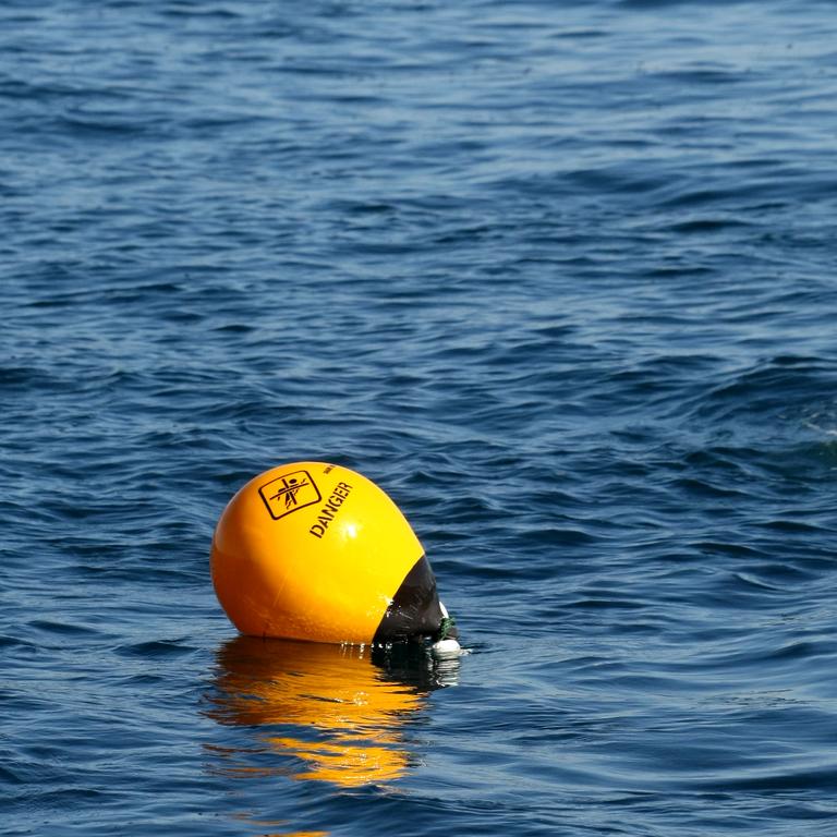A drum line off Burleigh Heads.