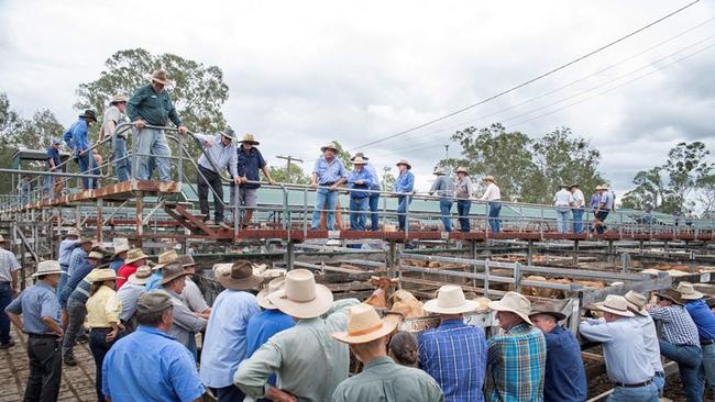 Gympie Saleyards. Picture: File