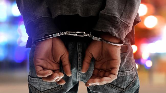 Man’s alleged wild two hour rampage in truck after owner forced to jump out