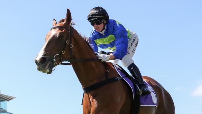 Another Wil ridden by Jamie Kah wins the Good Friday Appeal Plate at Flemington Racecourse on March 02, 2024 in Flemington, Australia. (Photo by George Sal/Racing Photos via Getty Images)