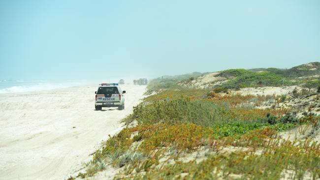 Police and the SES search the area around the Salt Creek campsite where the backpackers were attacked. Picture: Mark Brake