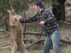 ‘Man punches kangaroo’ vid inspires NFL team