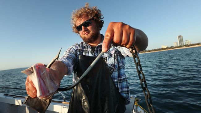 Josh Pols baits a shark drum line off the Gold Coast, as Queensland's shark control program continues to be the centre of political debate. Picture: Lyndon Mechielsen/The Australian