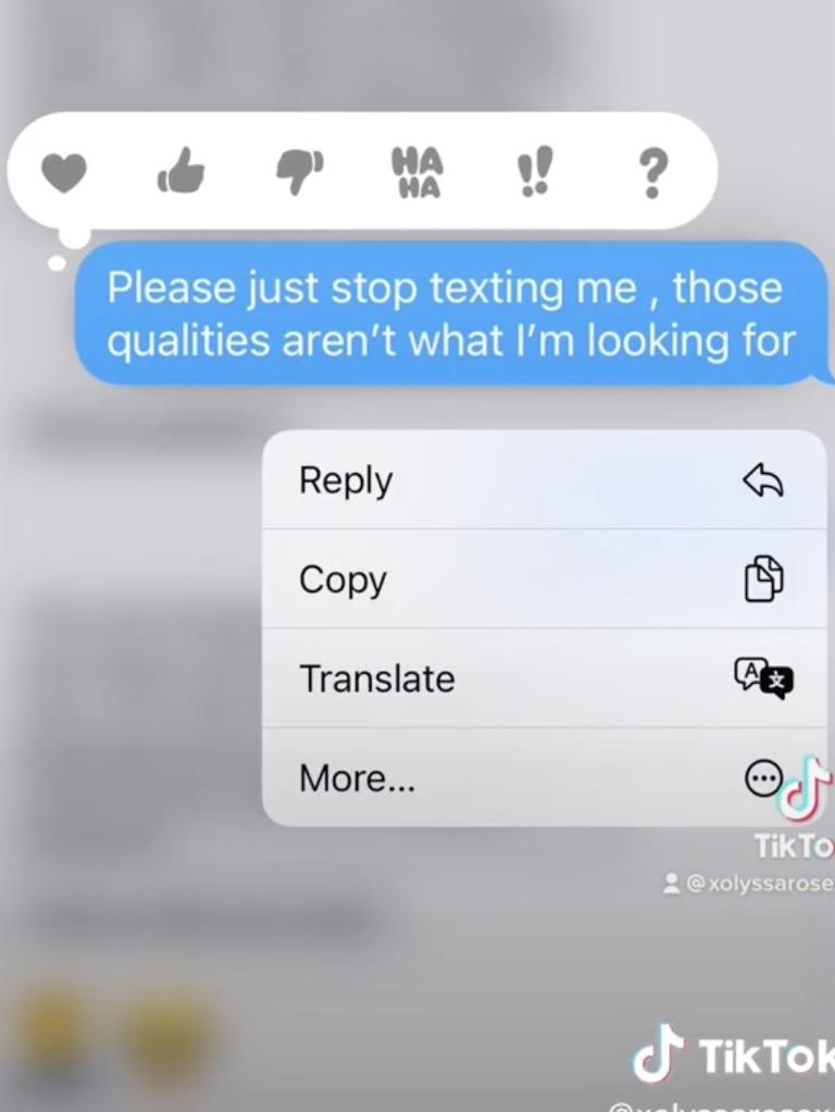 She repeatedly asks him to stop messaging her and accuses him of harassment. Picture: TikTok/@xolyssarosexo.