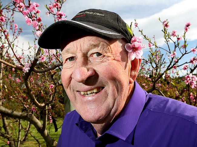 Sorell Fruit Farm owner Bob Hardy