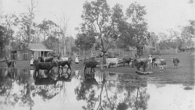 John and Fanny Coulson at Coolabunia Portion, an early 20th-century glimpse into life in this rural community. Source: Glady Hood, Gary Colquhoun