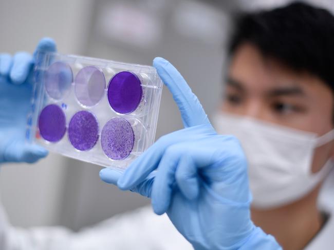 A researcher works on virus replication in order to develop a vaccine against the coronavirus in Belo Horizonte, Brazil. Picture: AFP