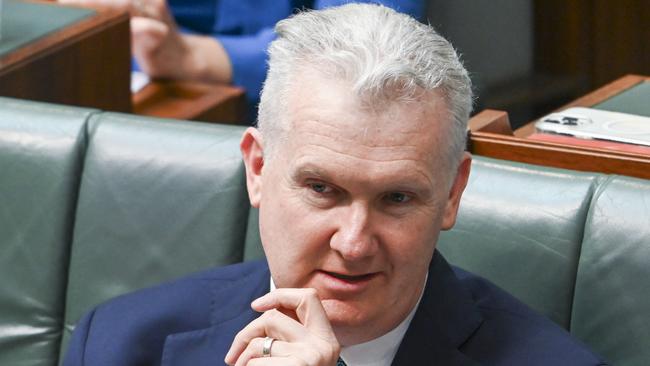 Home Affairs Minister Tony Burke has warned of an escalating humanitarian catastrophe in Lebanon comparable to the Rohingya refugee crisis. Picture: Martin Ollman