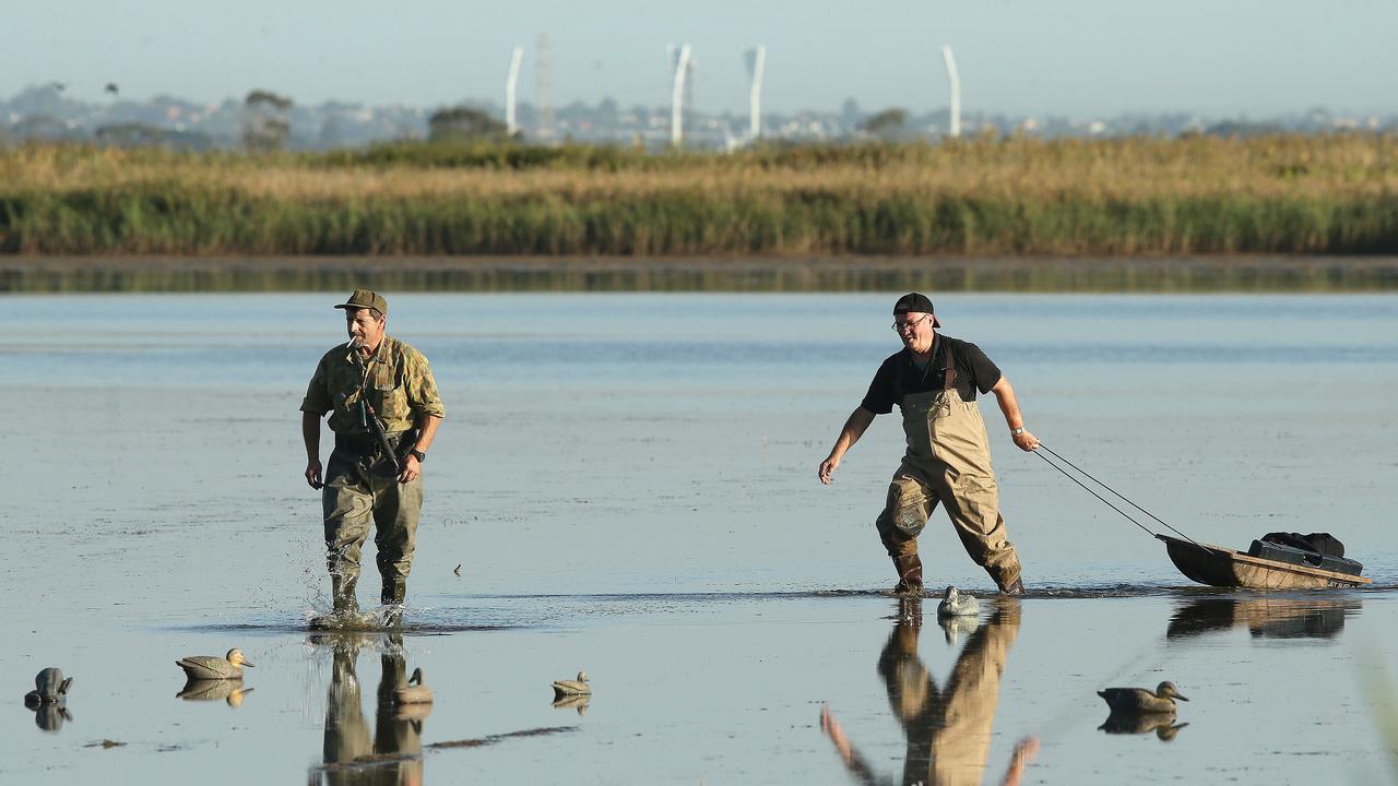 Duck shooting near Geelong. Picture: Alison Wynd