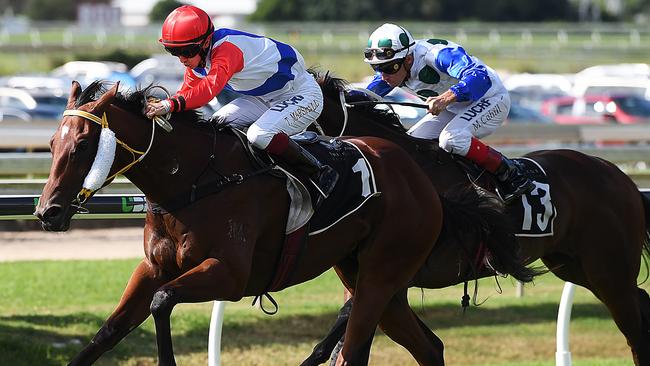 The Verdict Interstate Raiders Strike Early At Doomben Au — Australias Leading News