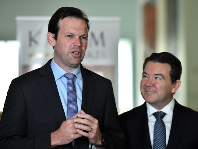 Minister for Resources Matt Canavan and Liberal Senator Dean Smith at a press conference at Parliament House in Canberra, Wednesday, February 20, 2019. (AAP Image/Mick Tsikas) NO ARCHIVING