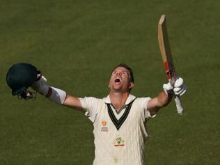 David Warner was named player of the series. 