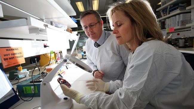 Professors Ben Howden and Sharon Lewin at the Doherty Institute. Picture: Alex Coppel