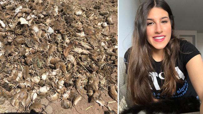 Dead mice in central NSW; PETA spokeswoman Aleesha Naxakis.