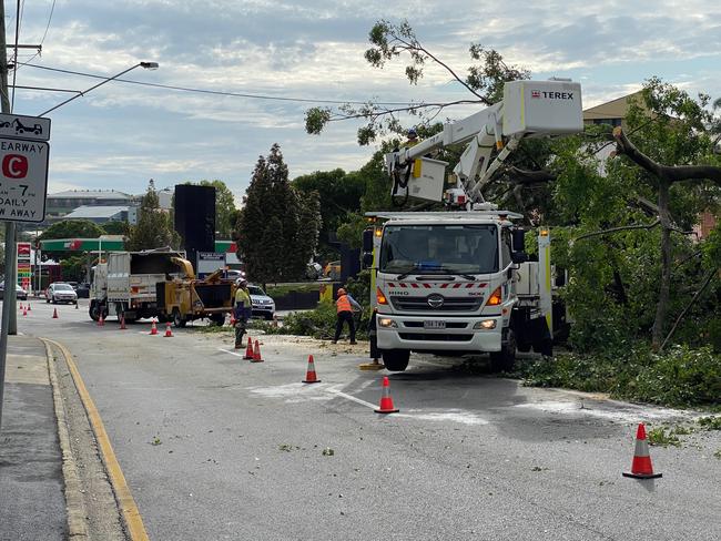 Crews continue the clean-up of the fallen tree on Sandgate Road at Ascot. Picture: Peter Wallis