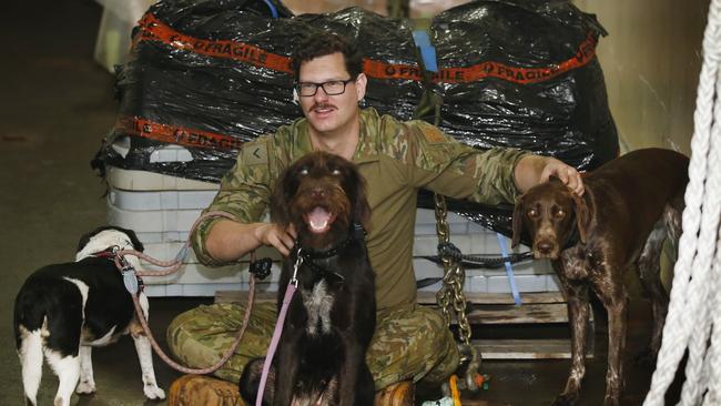 Crew aboard the HMAS Choules care for the bushfire evacuee dogs. Picture: David Caird