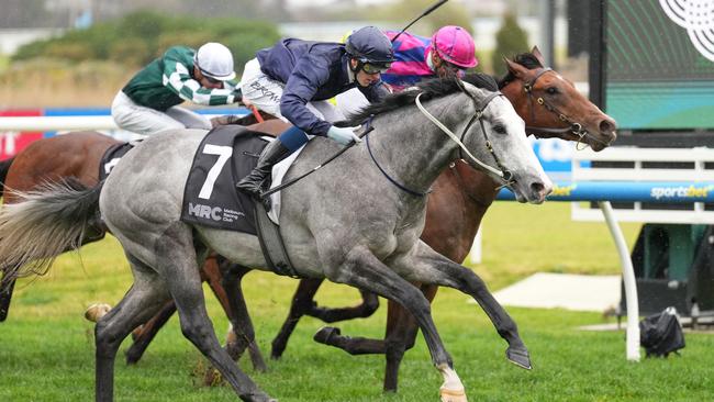 Public Attention (NZ) ridden by Ethan Brown wins the MRC Chairman's Club Handicap at Caulfield Racecourse on July 27, 2024 in Caulfield, Australia. (Photo by Scott Barbour/Racing Photos via Getty Images)