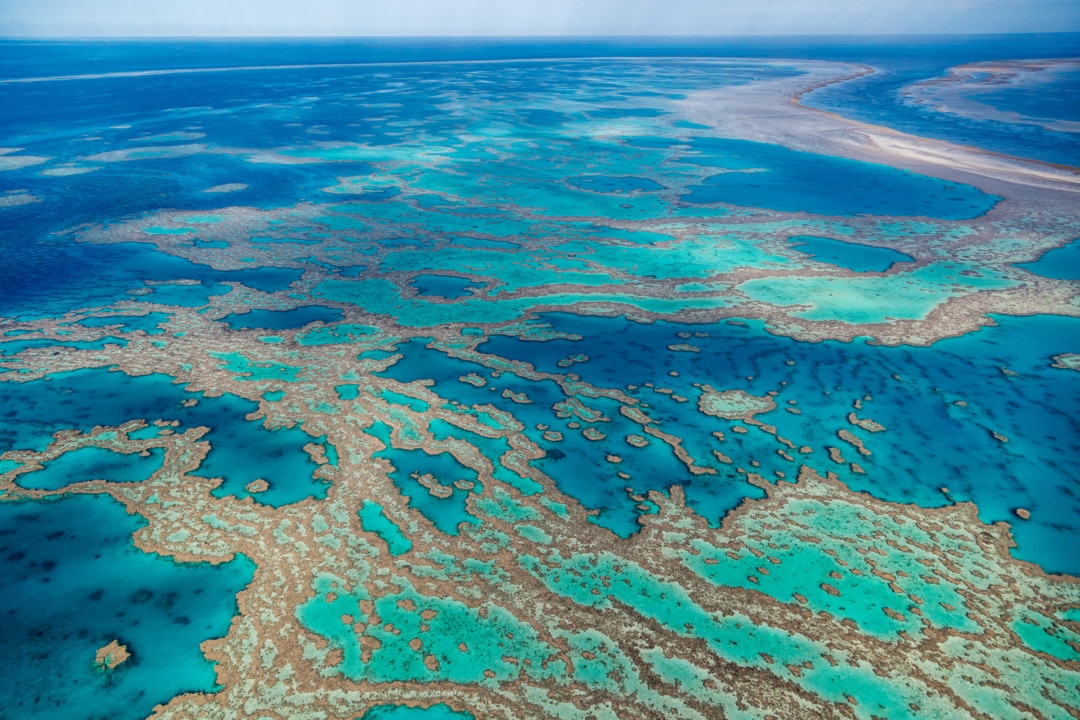  Government announces $500m package for the Great Barrier Reef