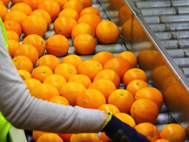 Costa Group - Elliot Jones (General Manager Citrus and Grapes), Renmark