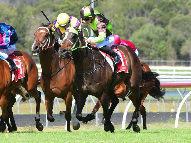 Jockey Ben Looker rides Belflyer to victory in race 6, the Caloundra Automotive Open Handicap, during the James Ackerman Memorial Raceday at the Sunshine Coast Turf Club on the Sunshine Coast, Saturday, November 10, 2018. (AAP Image/Trackside Photography, Grant Peters) NO ARCHIVING, EDITORIAL USE ONLY