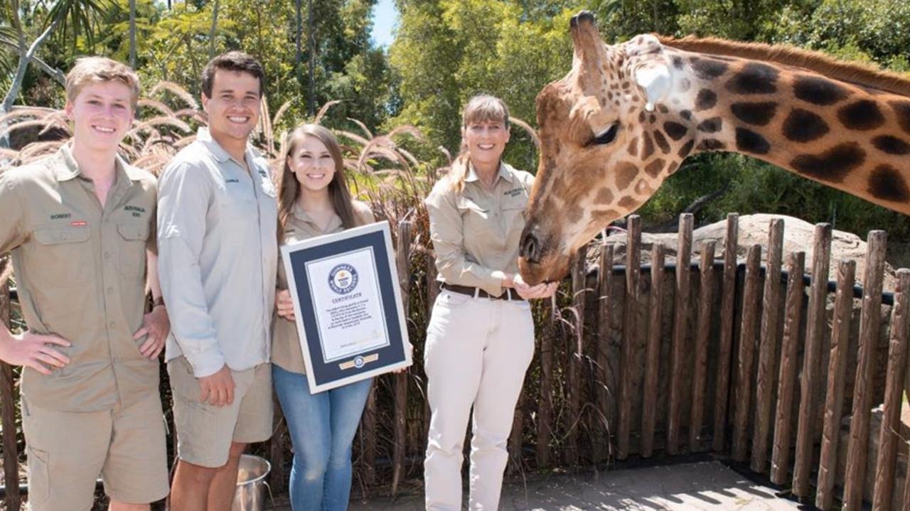 Australia Zoo giraffe, Forest, has officially made it into the Guinness World Records for being the tallest living giraffe. Picture: Australia Zoo