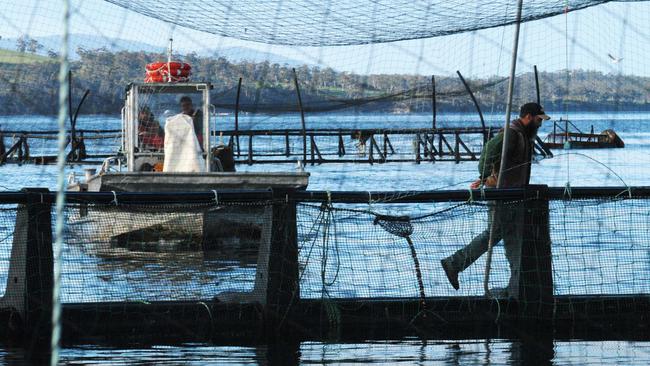 A salmon farm in Tasmania.