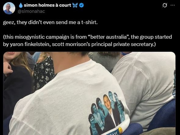 Simon Holmes a Court accuses Repeal the Teal group of misogyny.